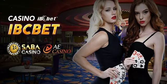 ibcbet casino