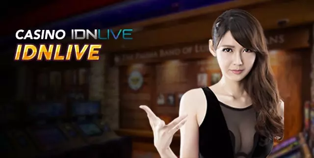 idn live casino